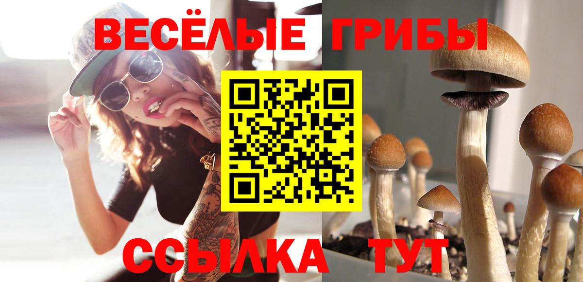 даркнет сайт  Псилоцибиновые грибы Psilocybe  Вход с VPN  Ярославль 